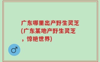 广东哪里出产野生灵芝(广东某地产野生灵芝，惊艳世界)