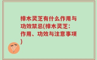 樟木灵芝有什么作用与功效禁忌(樟木灵芝：作用、功效与注意事项)