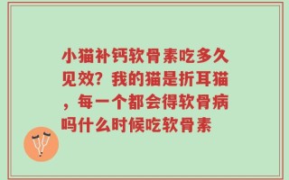 小猫补钙软骨素吃多久见效？我的猫是折耳猫，每一个都会得软骨病吗什么时候吃软骨素