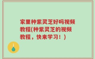 家里种紫灵芝好吗视频教程(种紫灵芝的视频教程，快来学习！)