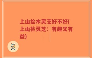 上山捡木灵芝好不好(上山捡灵芝：有趣又有益)