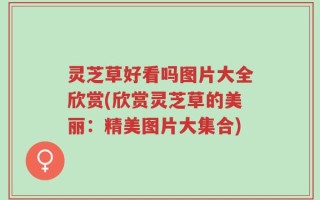 灵芝草好看吗图片大全欣赏(欣赏灵芝草的美丽：精美图片大集合)