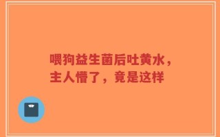 喂狗益生菌后吐黄水，主人懵了，竟是这样