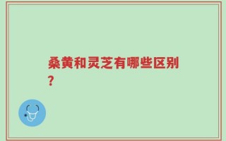 桑黄和灵芝有哪些区别？