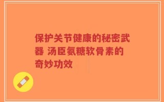 保护关节健康的秘密武器 汤臣氨糖软骨素的奇妙功效