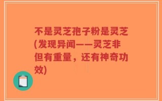 不是灵芝孢子粉是灵芝(发现异闻——灵芝非但有重量，还有神奇功效)