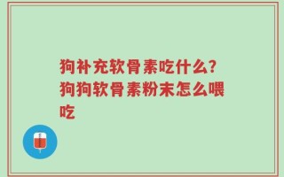 狗补充软骨素吃什么？狗狗软骨素粉末怎么喂吃