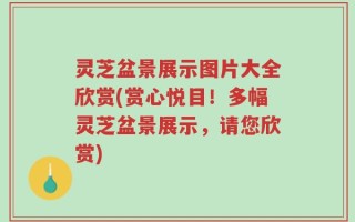 灵芝盆景展示图片大全欣赏(赏心悦目！多幅灵芝盆景展示，请您欣赏)