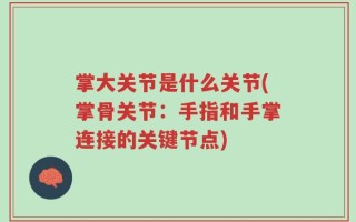 掌大关节是什么关节(掌骨关节：手指和手掌连接的关键节点)