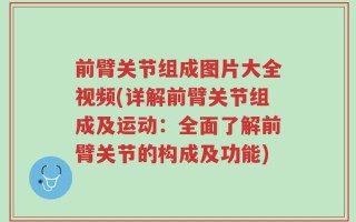 前臂关节组成图片大全视频(详解前臂关节组成及运动：全面了解前臂关节的构成及功能)