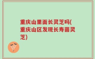 重庆山里面长灵芝吗(重庆山区发现长寿菌灵芝)