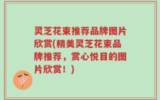 灵芝花束推荐品牌图片欣赏(精美灵芝花束品牌推荐，赏心悦目的图片欣赏！)