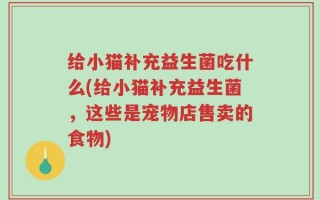 给小猫补充益生菌吃什么(给小猫补充益生菌，这些是宠物店售卖的食物)