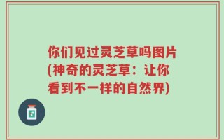 你们见过灵芝草吗图片(神奇的灵芝草：让你看到不一样的自然界)