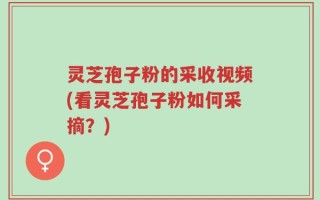 灵芝孢子粉的采收视频(看灵芝孢子粉如何采摘？)