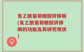 氮乙酰葡萄糖胺转移酶(氮乙酰葡萄糖胺转移酶的功能及其研究现状)