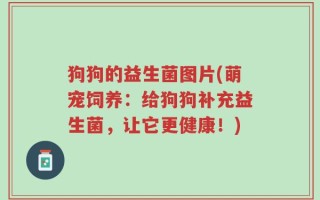 狗狗的益生菌图片(萌宠饲养：给狗狗补充益生菌，让它更健康！)