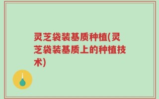 灵芝袋装基质种植(灵芝袋装基质上的种植技术)