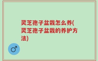 灵芝孢子盆栽怎么养(灵芝孢子盆栽的养护方法)