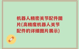 机器人精密关节配件图片(高精度机器人关节配件的详细图片展示)