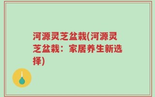 河源灵芝盆栽(河源灵芝盆栽：家居养生新选择)