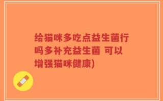 给猫咪多吃点益生菌行吗多补充益生菌 可以增强猫咪健康)