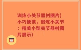 训练小关节器材图片(小巧便携，锻炼小关节：精美小型关节器材图片展示)