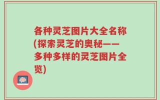 各种灵芝图片大全名称(探索灵芝的奥秘——多种多样的灵芝图片全览)