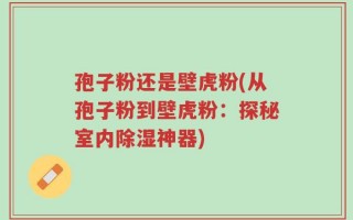 孢子粉还是壁虎粉(从孢子粉到壁虎粉：探秘室内除湿神器)