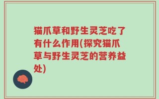 猫爪草和野生灵芝吃了有什么作用(探究猫爪草与野生灵芝的营养益处)