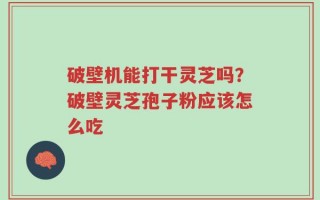 破壁机能打干灵芝吗？破壁灵芝孢子粉应该怎么吃
