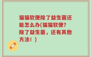 猫猫软便除了益生菌还能怎么办(猫猫软便？除了益生菌，还有其他方法！)