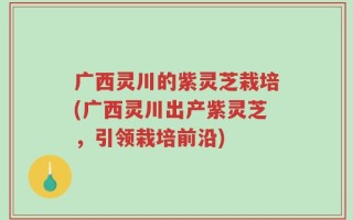广西灵川的紫灵芝栽培(广西灵川出产紫灵芝，引领栽培前沿)