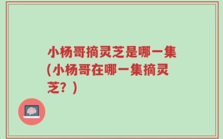 小杨哥摘灵芝是哪一集(小杨哥在哪一集摘灵芝？)