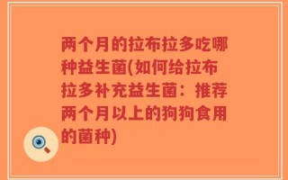 两个月的拉布拉多吃哪种益生菌(如何给拉布拉多补充益生菌：推荐两个月以上的狗狗食用的菌种)