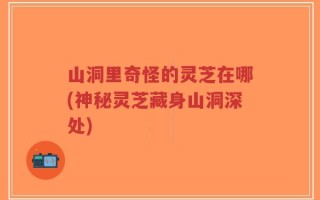 山洞里奇怪的灵芝在哪(神秘灵芝藏身山洞深处)