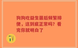 狗狗吃益生菌后频繁排便，这到底正常吗？看完你就明白了