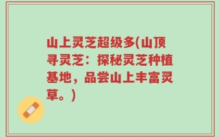 山上灵芝超级多(山顶寻灵芝：探秘灵芝种植基地，品尝山上丰富灵草。)