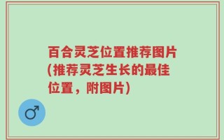 百合灵芝位置推荐图片(推荐灵芝生长的最佳位置，附图片)