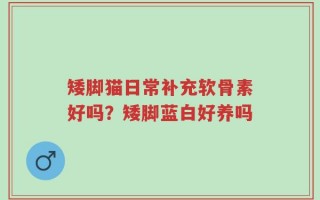 矮脚猫日常补充软骨素好吗？矮脚蓝白好养吗