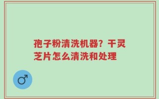 孢子粉清洗机器？干灵芝片怎么清洗和处理