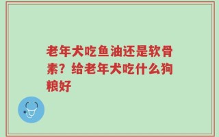 老年犬吃鱼油还是软骨素？给老年犬吃什么狗粮好