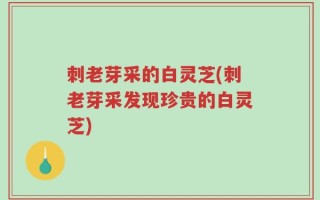 刺老芽采的白灵芝(刺老芽采发现珍贵的白灵芝)