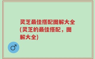 灵芝最佳搭配图解大全(灵芝的最佳搭配，图解大全)