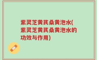 紫灵芝黄芪桑黄泡水(紫灵芝黄芪桑黄泡水的功效与作用)