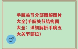 手腕关节分部图解图片大全(手腕关节结构图大全：详细解析手腕五大关节部位)
