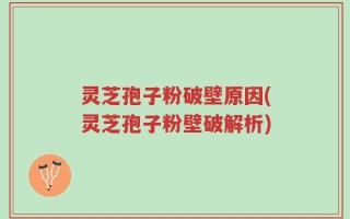 灵芝孢子粉破壁原因(灵芝孢子粉壁破解析)