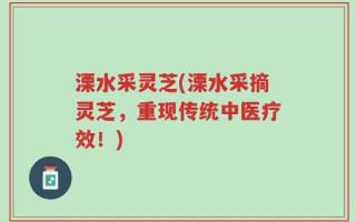 溧水采灵芝(溧水采摘灵芝，重现传统中医疗效！)