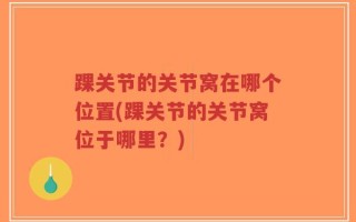 踝关节的关节窝在哪个位置(踝关节的关节窝位于哪里？)