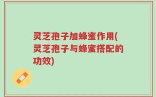 灵芝孢子加蜂蜜作用(灵芝孢子与蜂蜜搭配的功效)